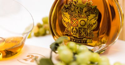 brandy_xo.jpg brandy_xo.jpg